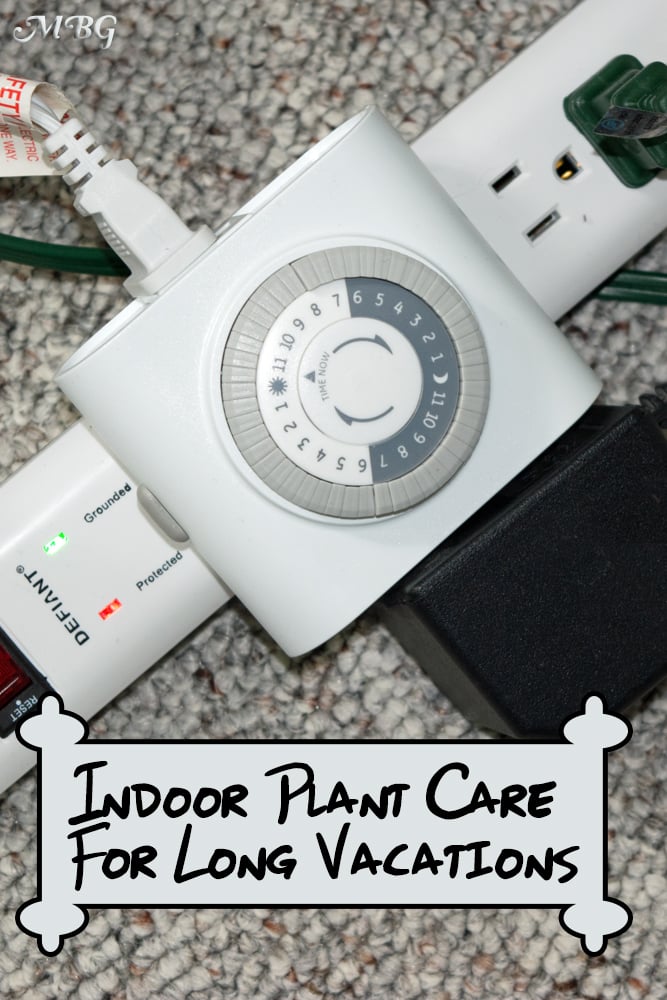 How To Care for Indoor House Plants When Gone on Long Trips: Tip 14- Use a Grow Light Timer and your plants could even look better when you return!