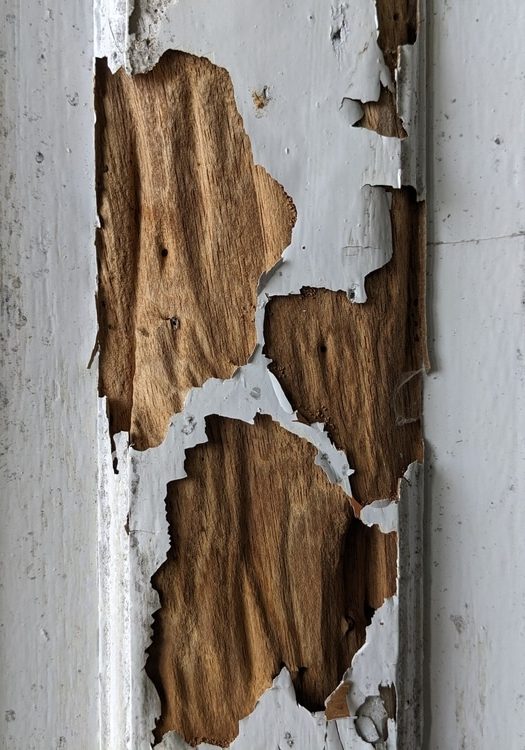 Damaged Wood by Termites